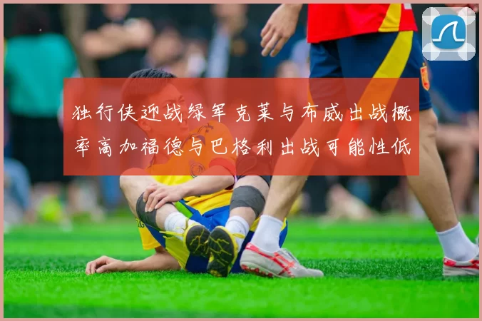 独行侠迎战绿军克莱与布威出战概率高加福德与巴格利出战可能性低