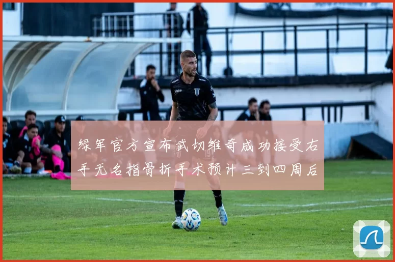 绿军官方宣布武切维奇成功接受右手无名指骨折手术预计三到四周后复查